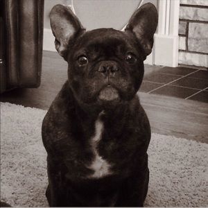 Meet your Posher, Danielle